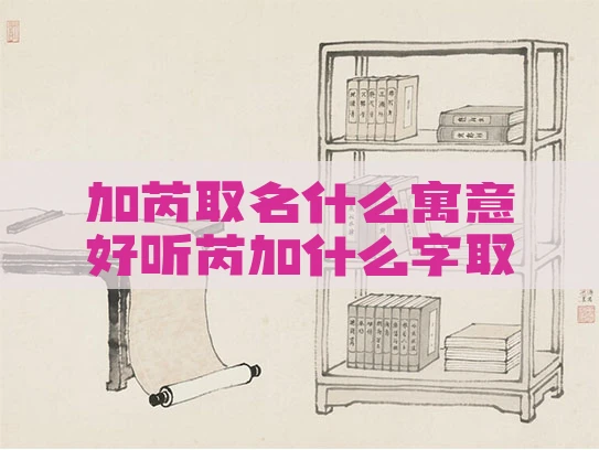 加芮取名什么寓意好听芮加什么字取名好听
